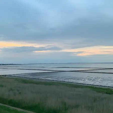 Neu Keitum - Moderne Gemuetlichkeit Unter Reet